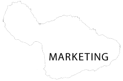 Maui Marketing Contact Us