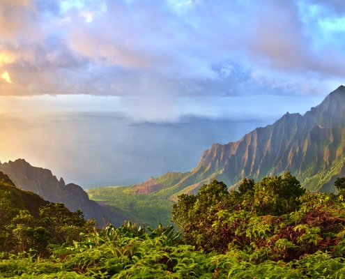 Hawaii Wide Online Marketing & Web Design