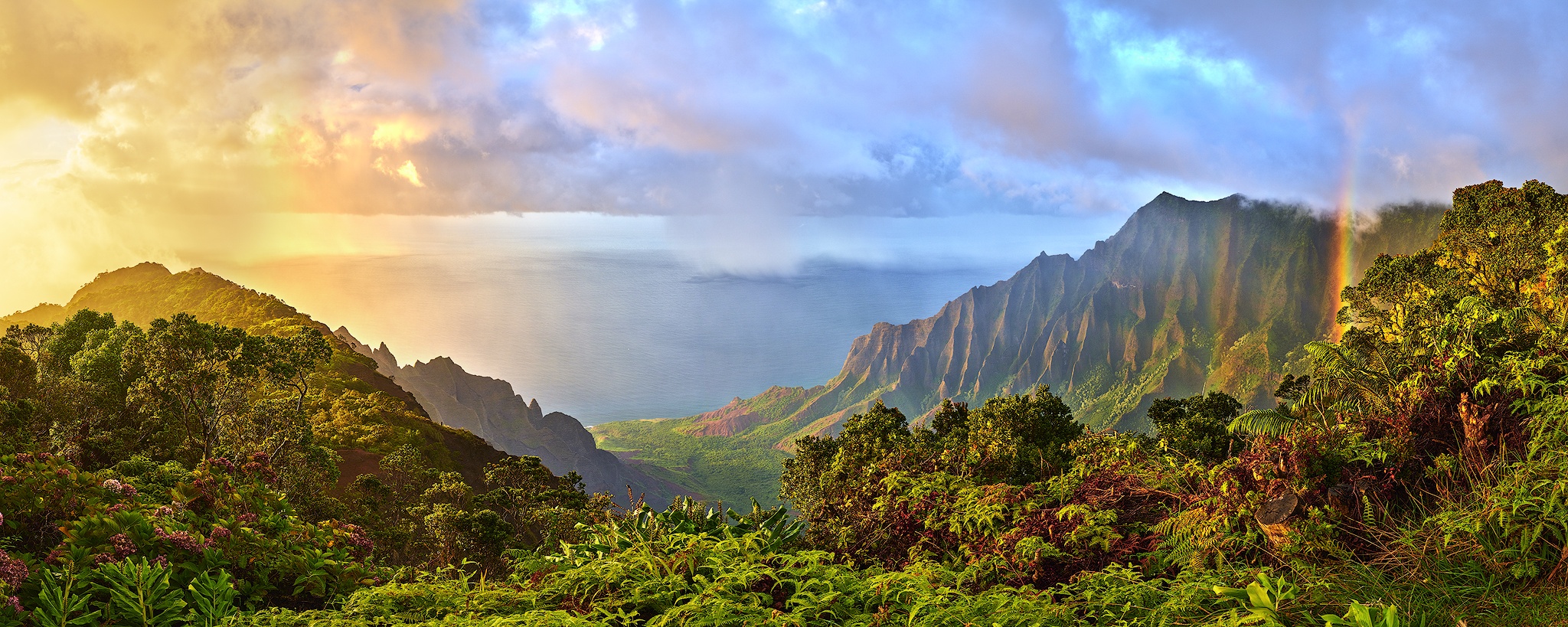 Hawaii Wide Online Marketing & Web Design