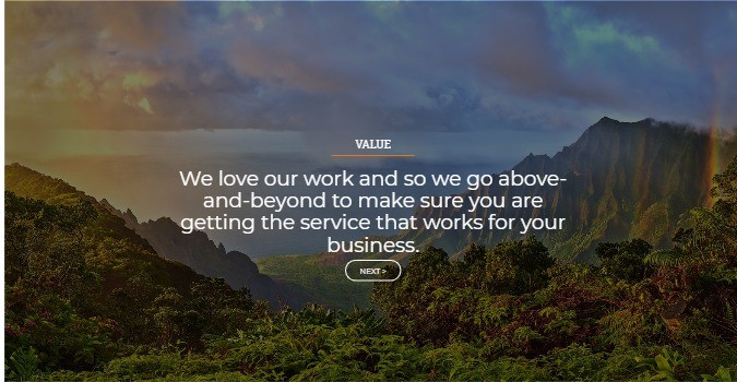 Hawaii seo company value