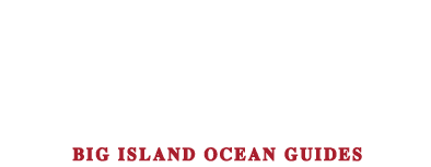 Fair Wind Logo